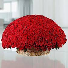 red-roses-basket-valentines-day-gifts-online