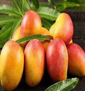 Mangoes in Hyderabad Online delivery